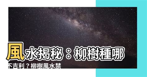 柳樹招陰|【柳樹 風水】柳樹風水：解密門前柳樹的吉凶與破解之道